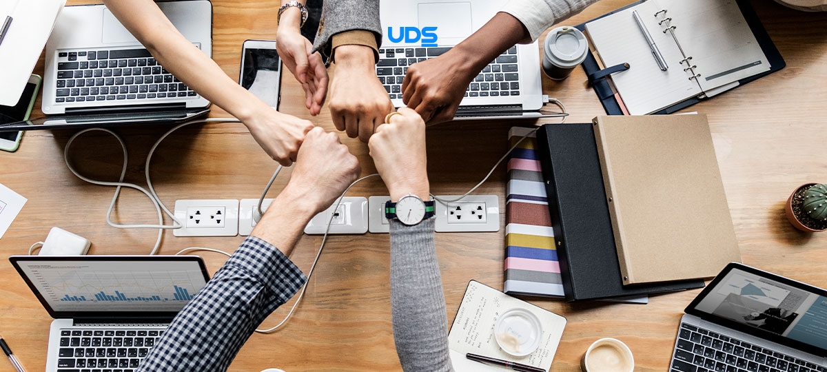 Equipe resposável pela criação e manutenção da MDS Fiocruz